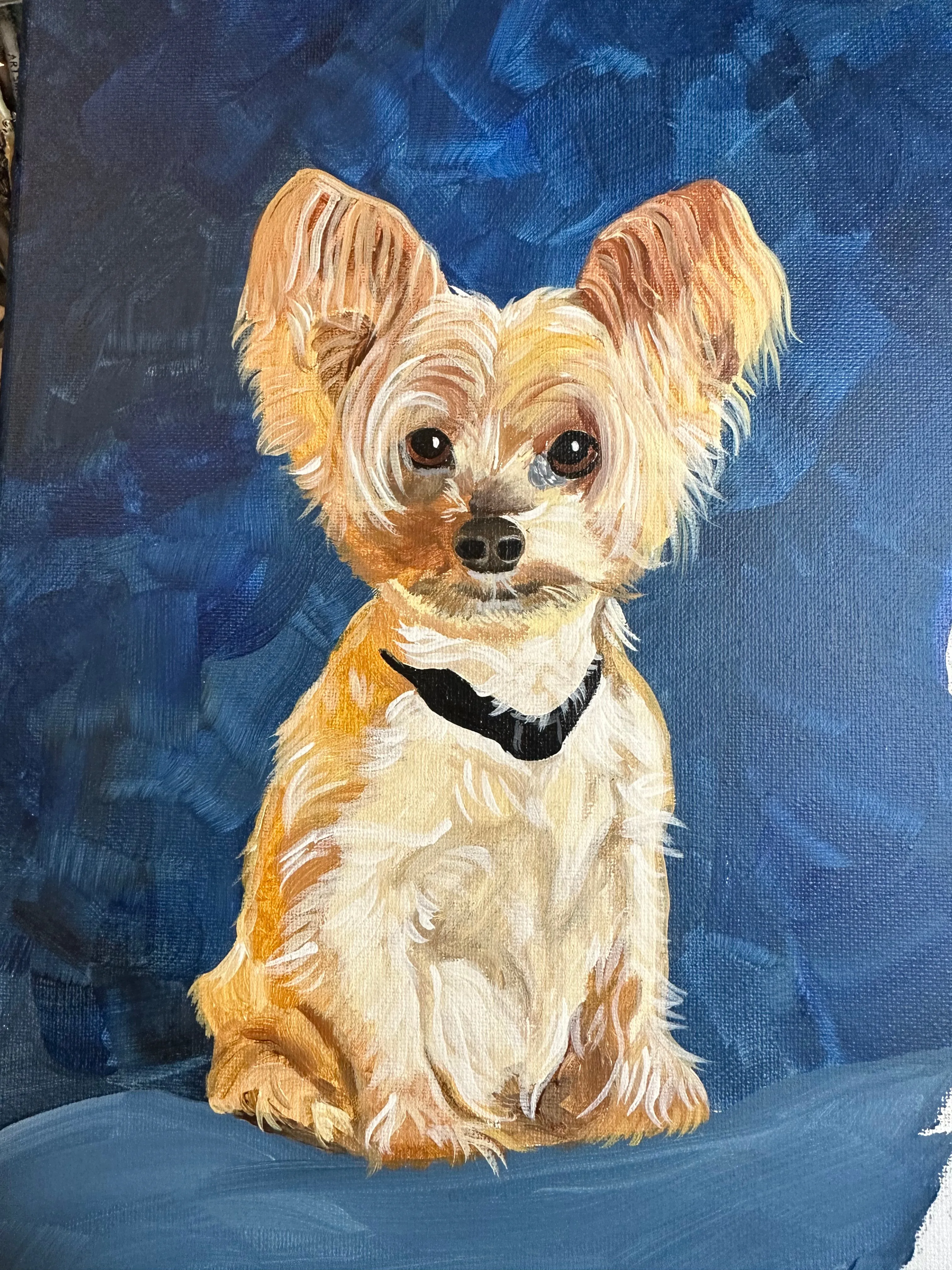 12x12 Pet Portrait, Painted Acrylic on gallery wrapped Canvas, FREE SHIPPING