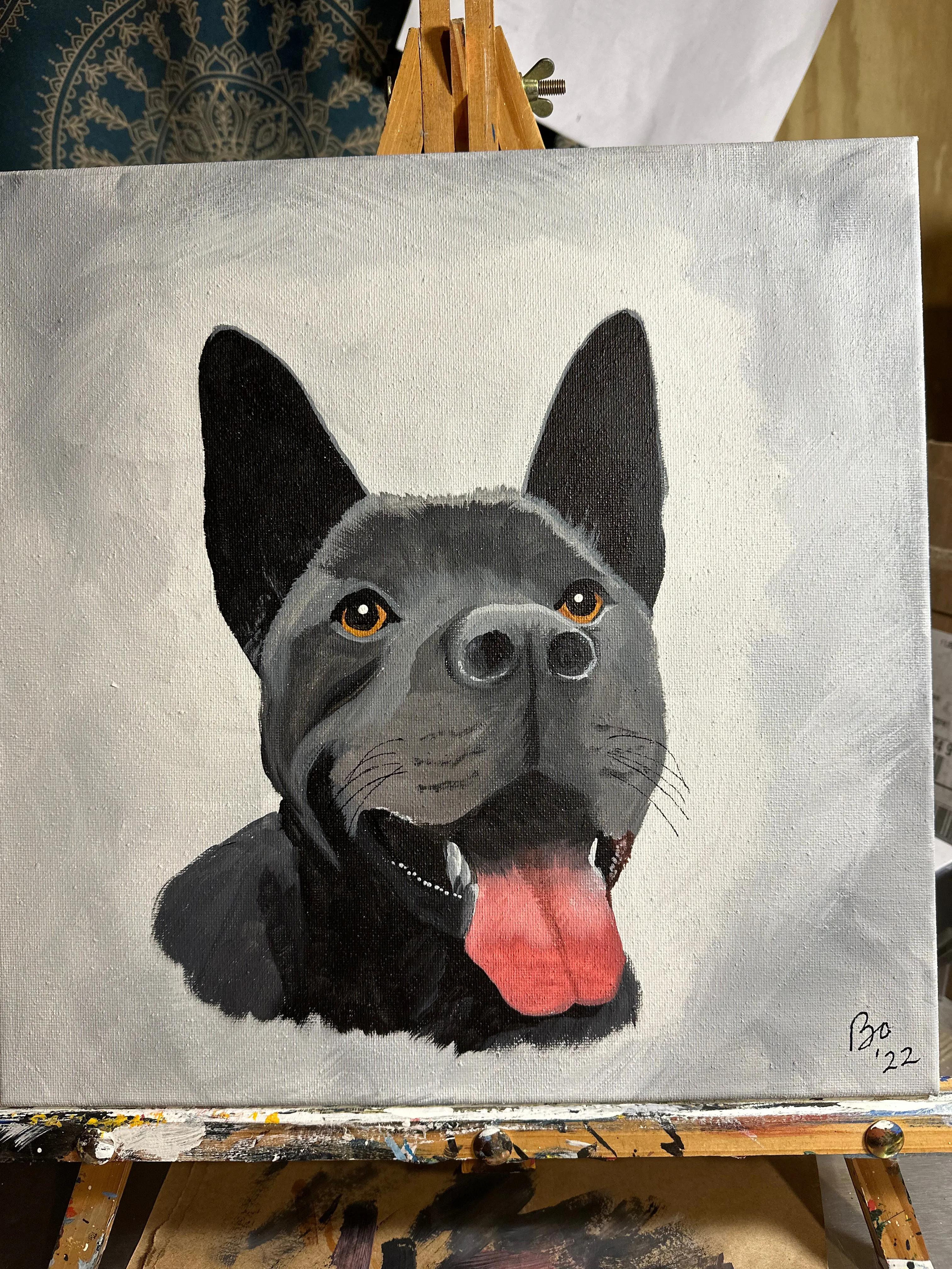 12x12 Pet Portrait, Painted Acrylic on gallery wrapped Canvas, FREE SHIPPING