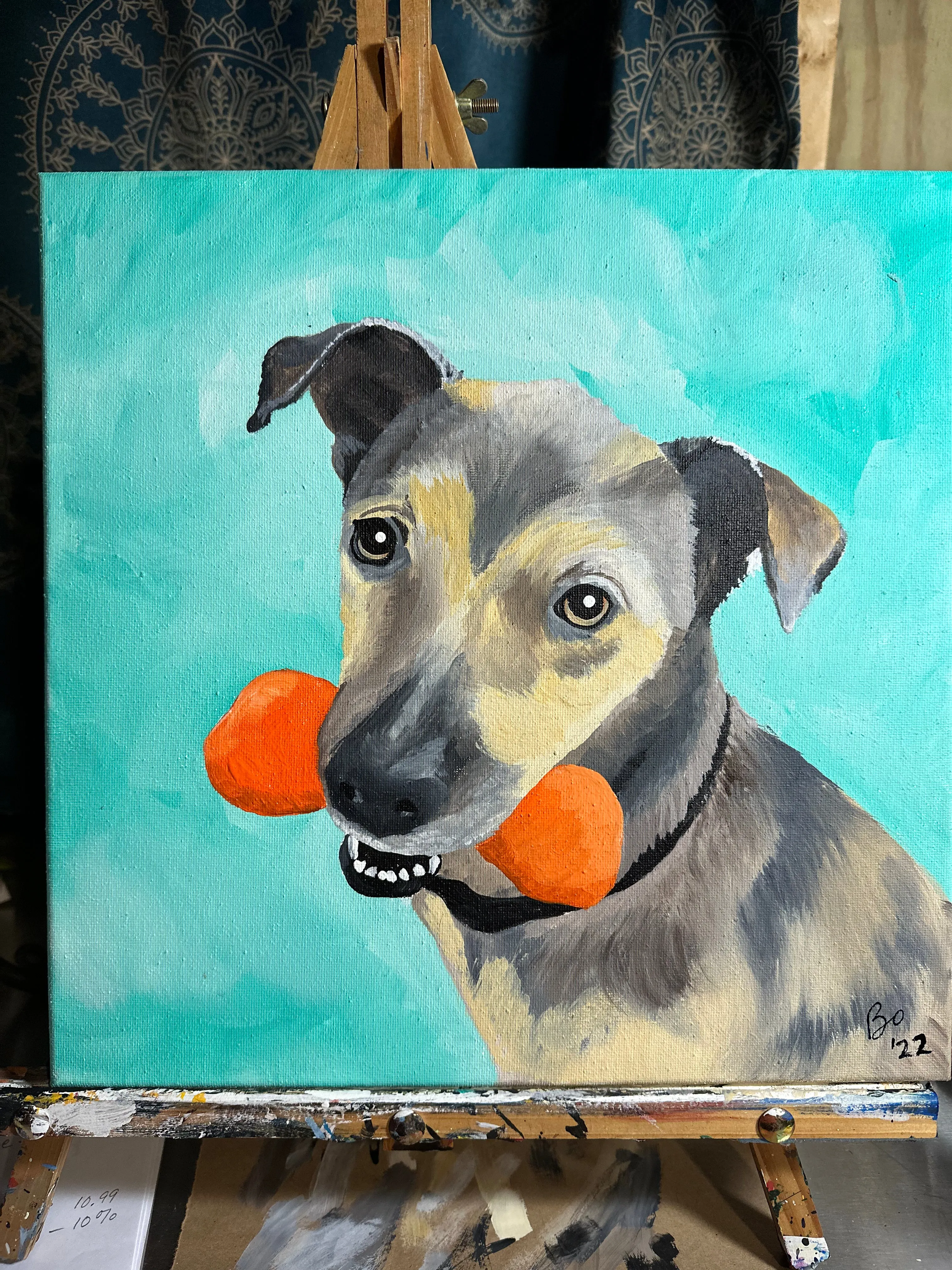 12x12 Pet Portrait, Painted Acrylic on gallery wrapped Canvas, FREE SHIPPING
