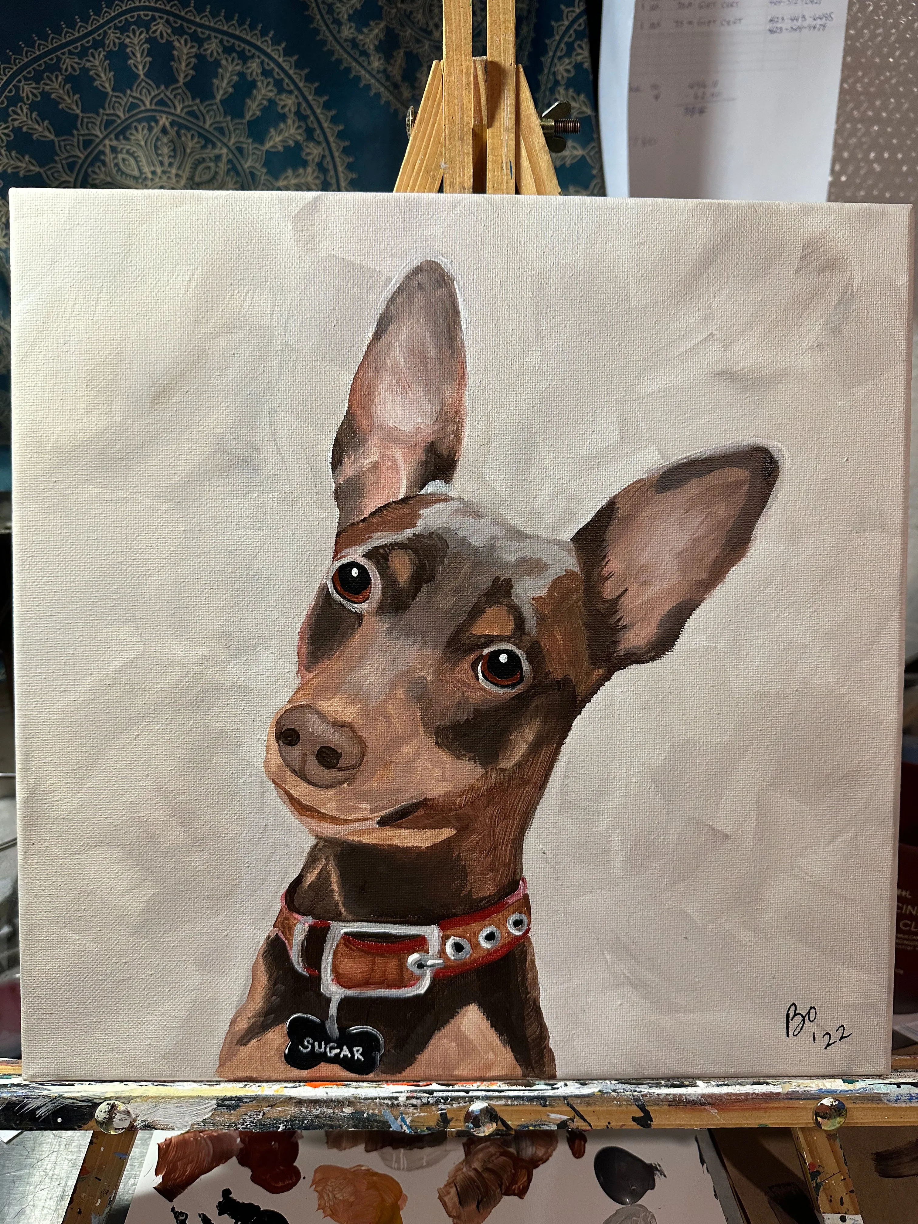 12x12 Pet Portrait, Painted Acrylic on gallery wrapped Canvas, FREE SHIPPING