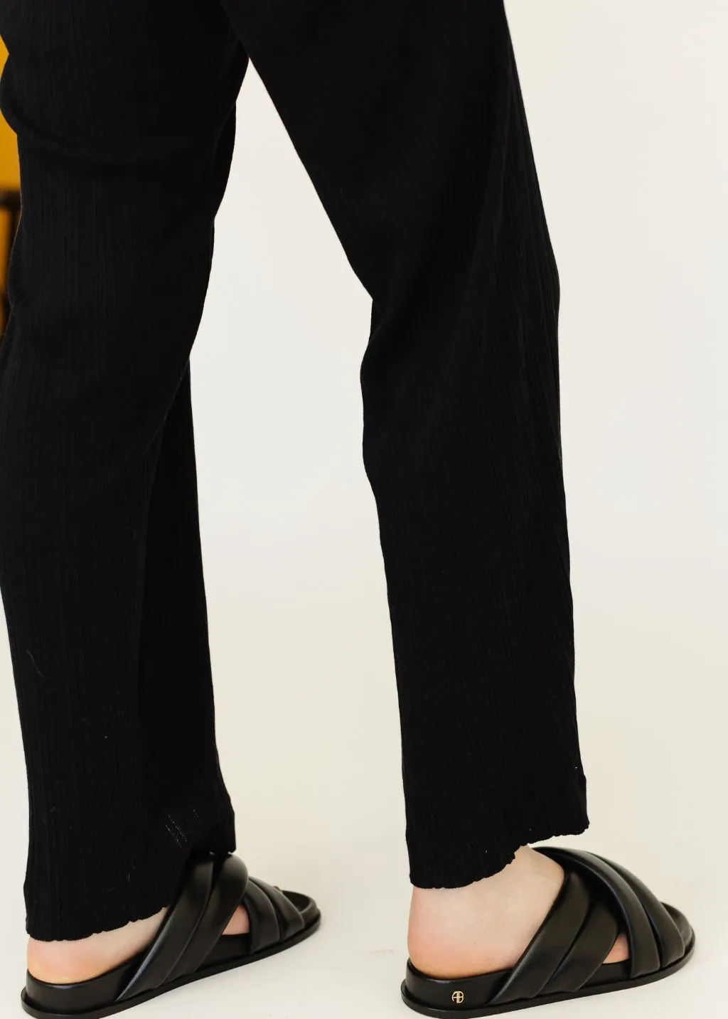 Anine Bing Lizzie Slides in Black