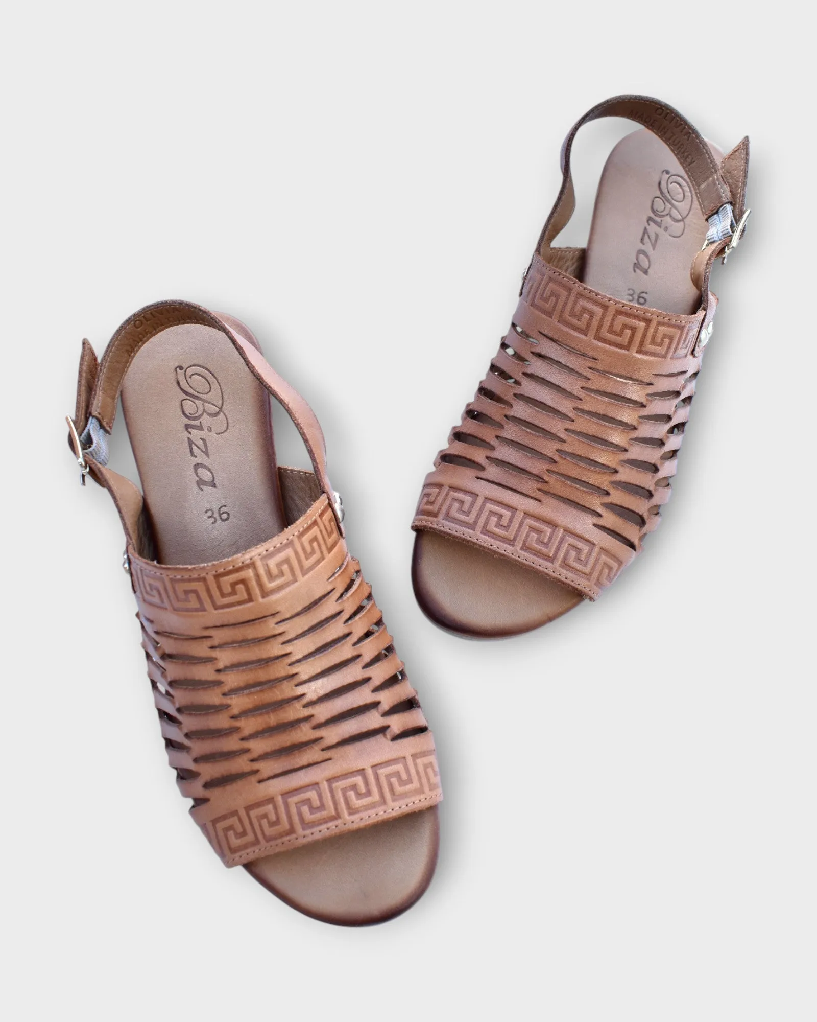 Biza Olivia