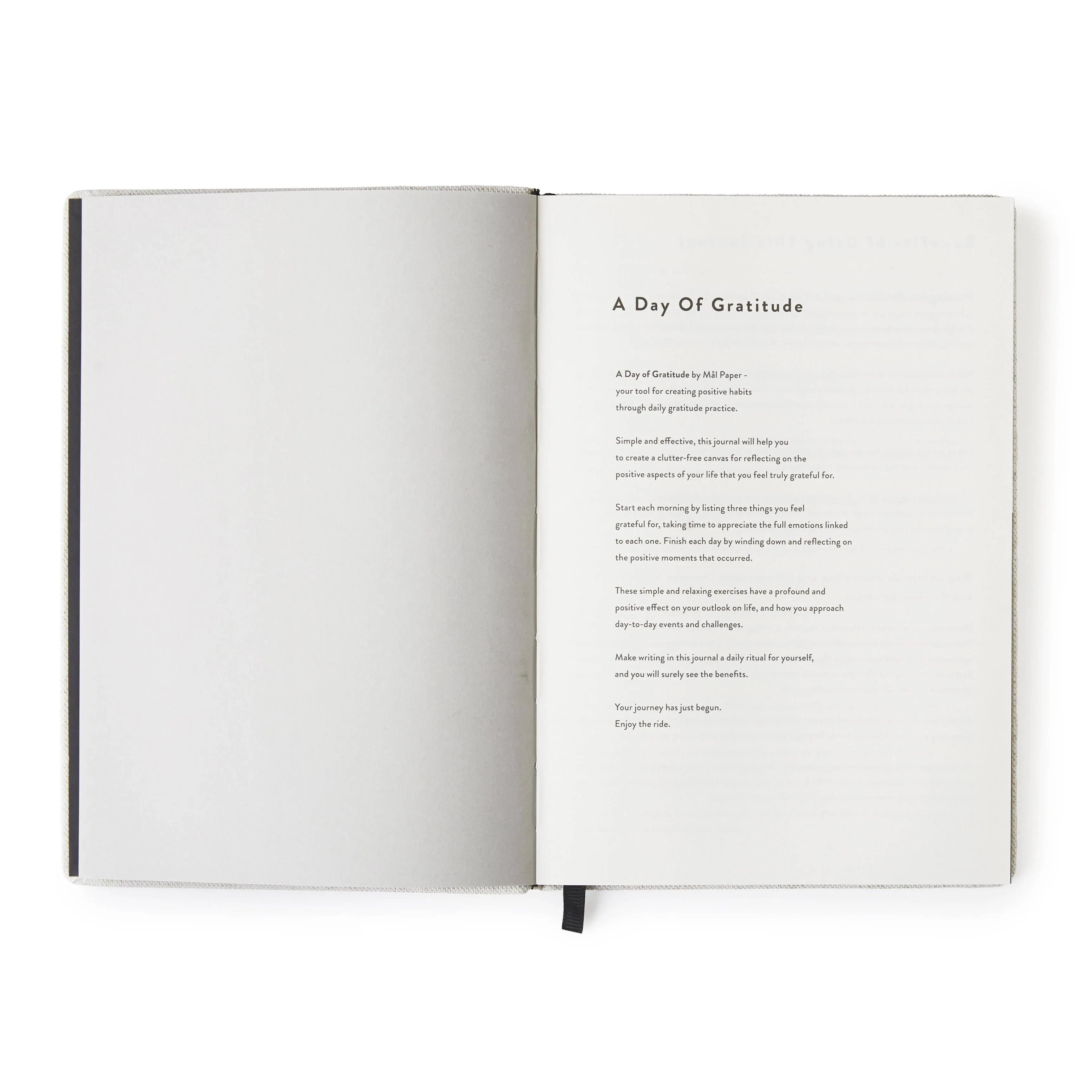 Day of Gratitude Journal Cotton