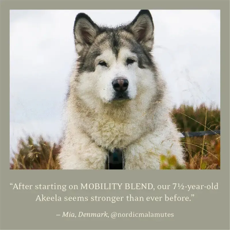 ESSENTIAL THE MOBILITY BLEND 500mL