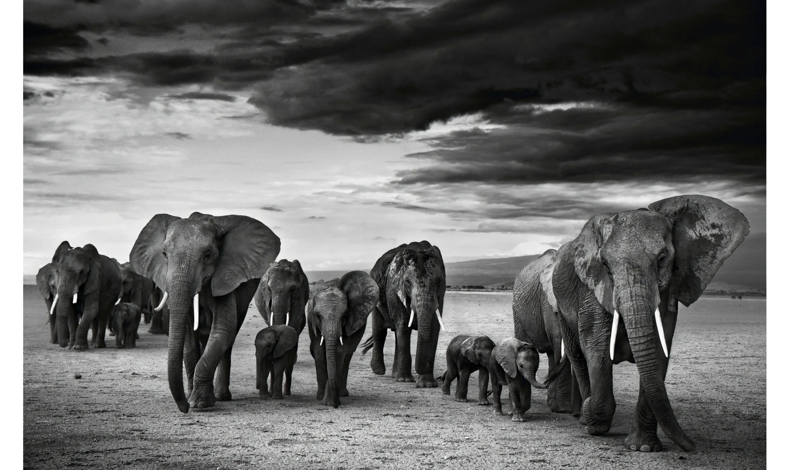 FAMILY