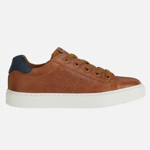 Geox - Nashik  - Cognac/Navy