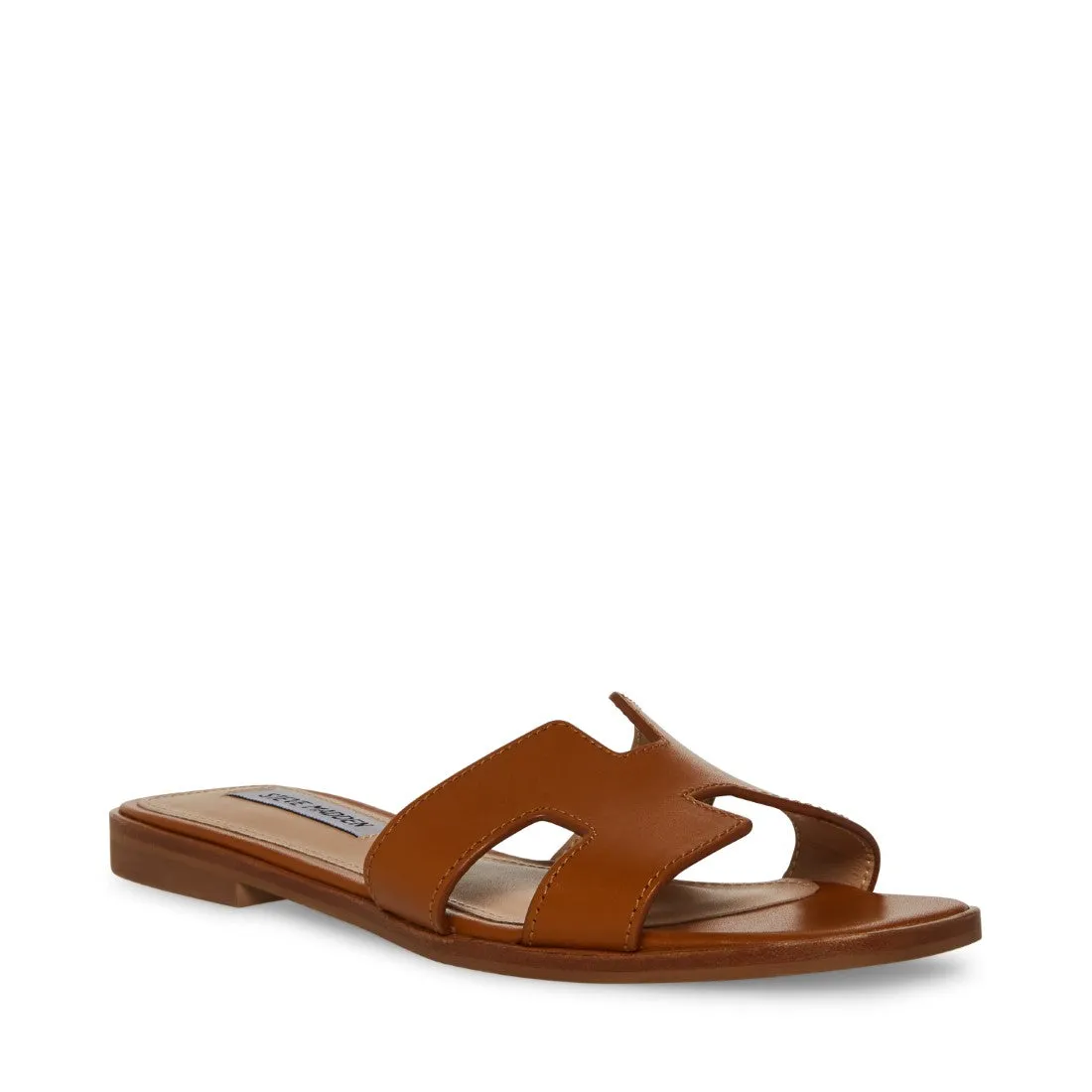 HADYN COGNAC