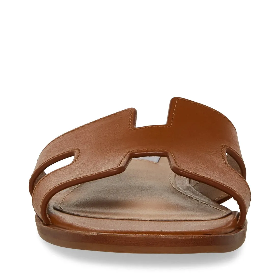HADYN COGNAC
