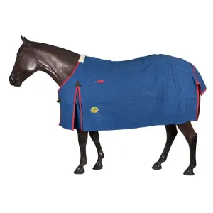 Horsemaster Lined Canvas Rug