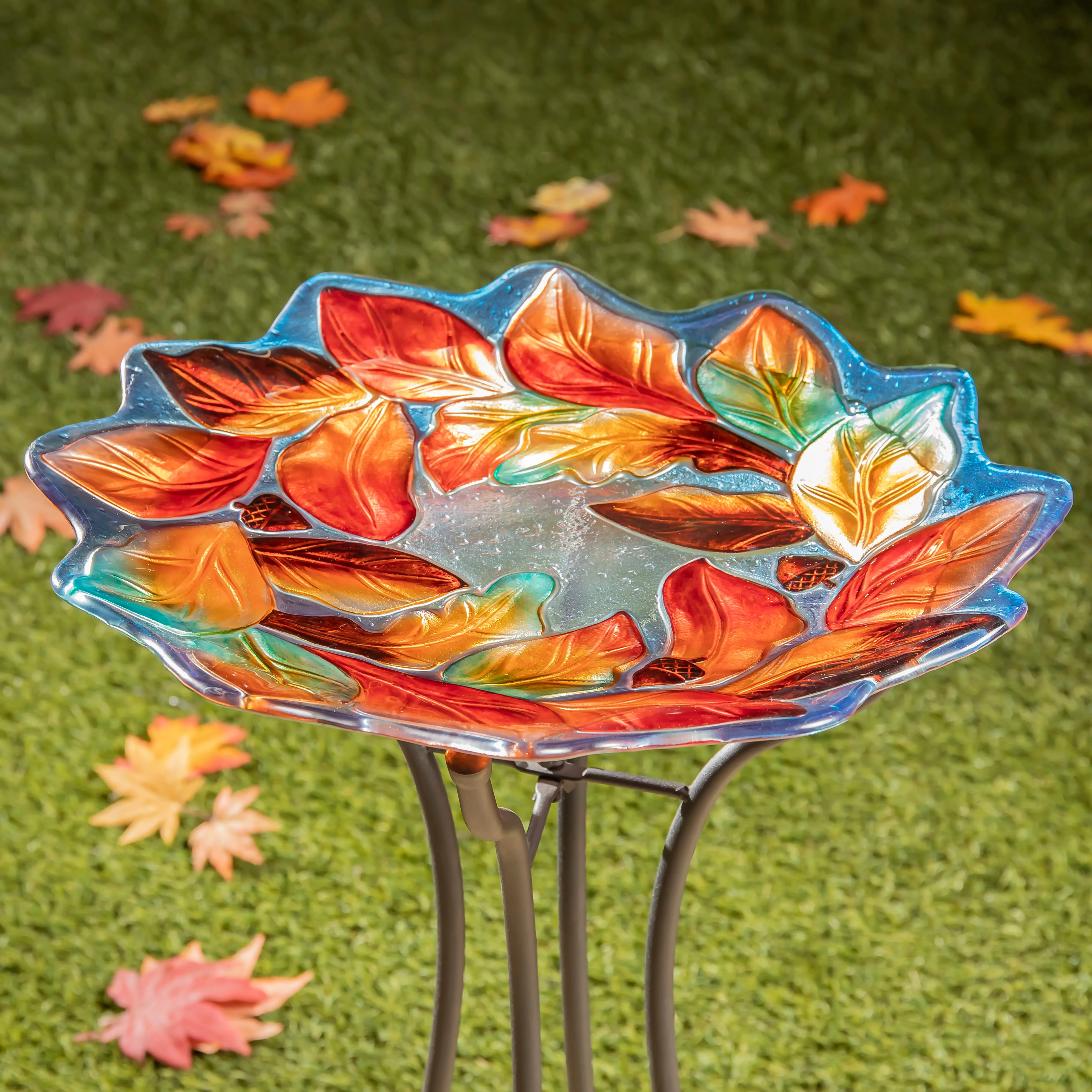 Leaf Edge Bird Bath,2gb7081