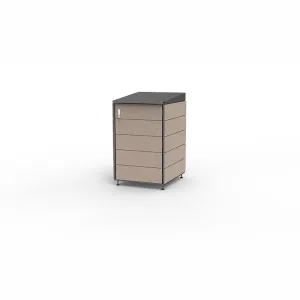 Modern storage shed