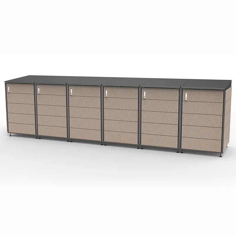 Modern storage shed