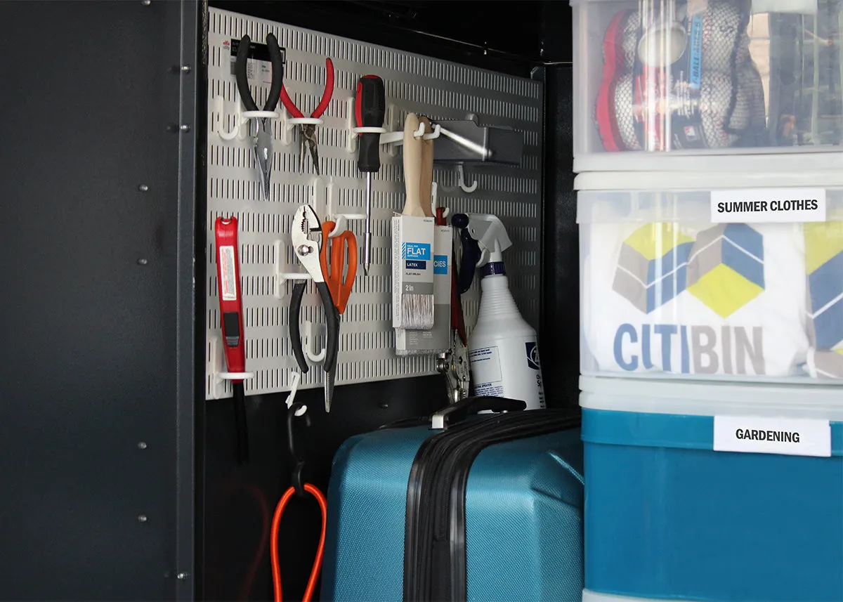 Modern storage shed