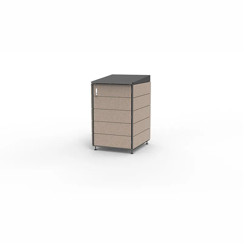 Modern storage shed