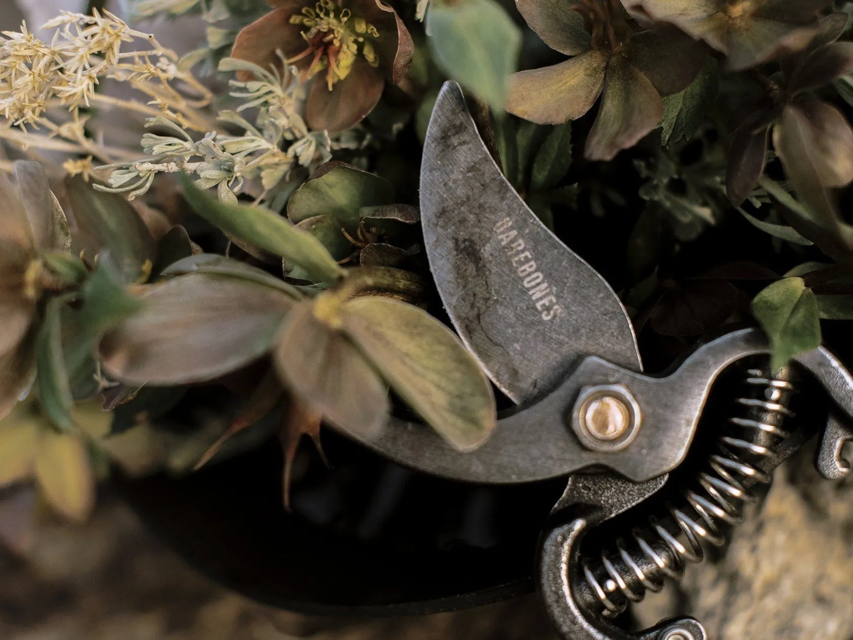 Pruner