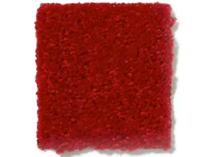 RUNNER - RED | 4' x 10'
