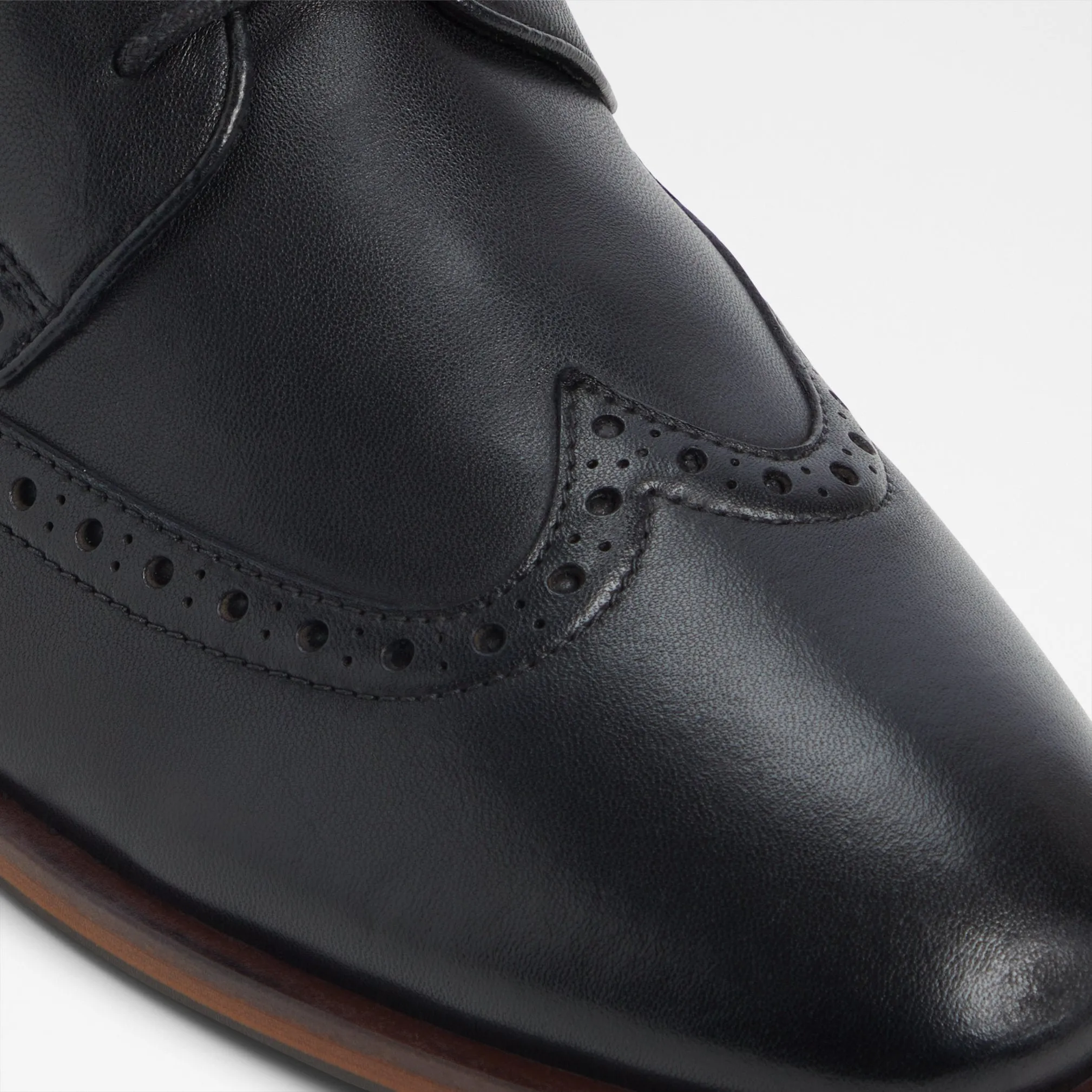 Sargasso / Lace Ups