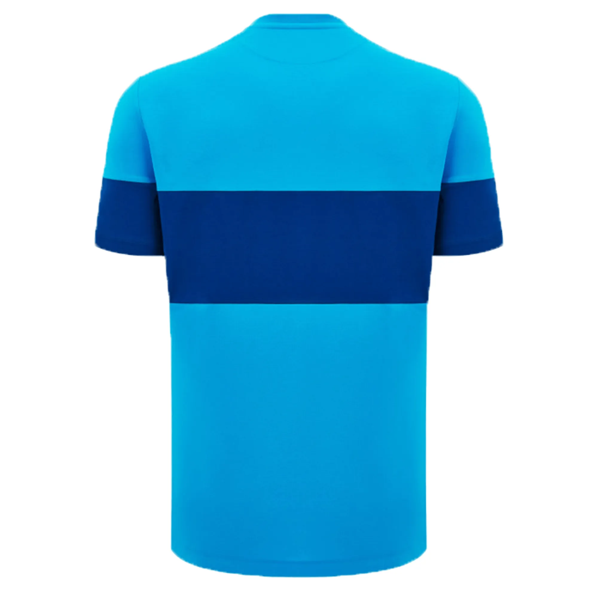 Scotland Block Leisure Tee 24/25 by Macron