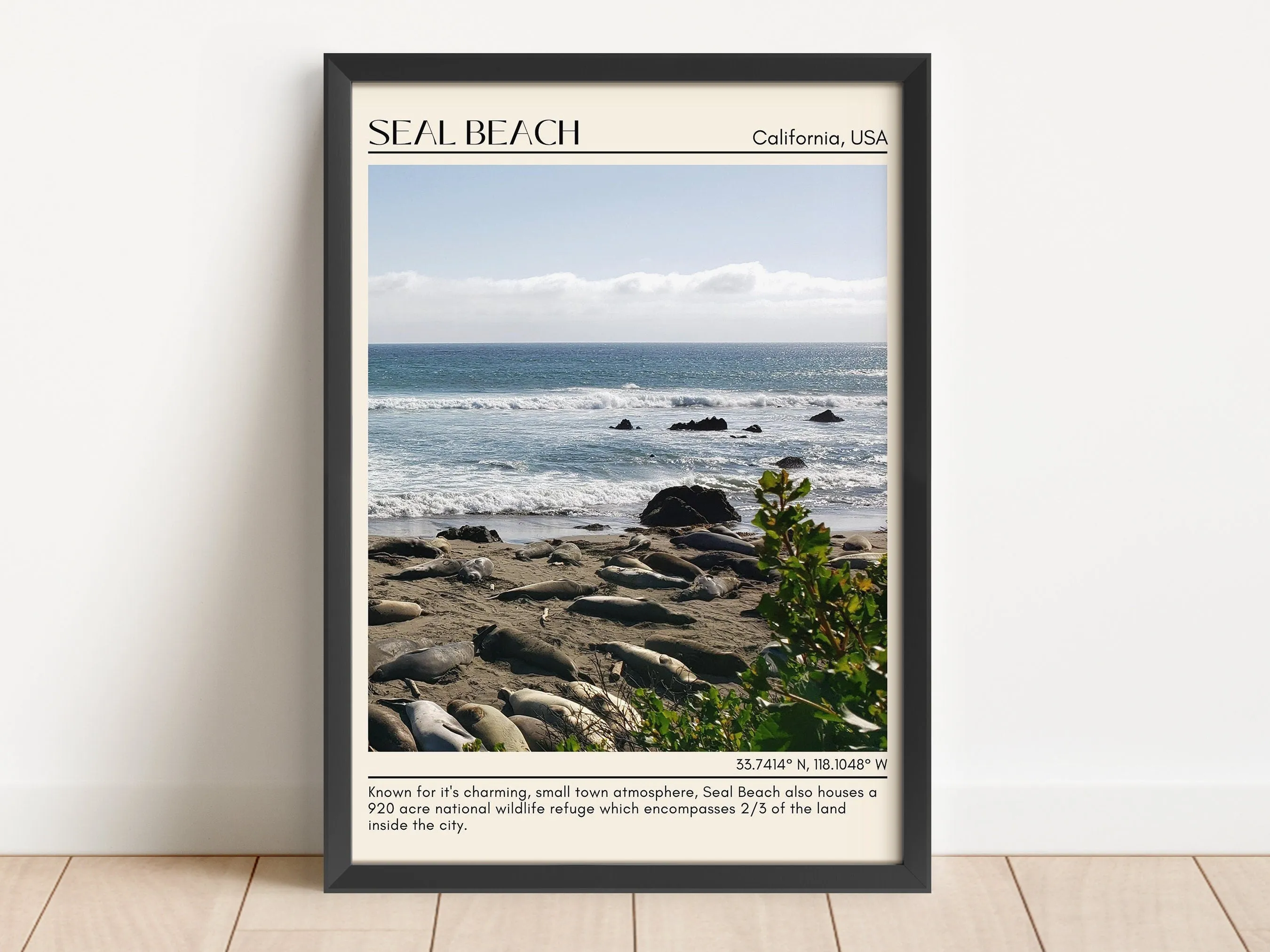 Seal Beach Wall Art Canvas, USA