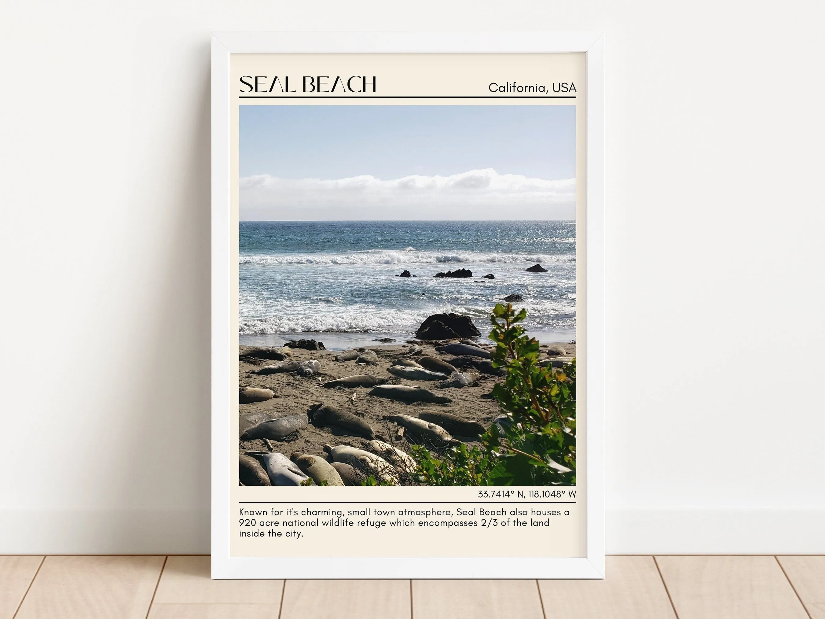 Seal Beach Wall Art Canvas, USA