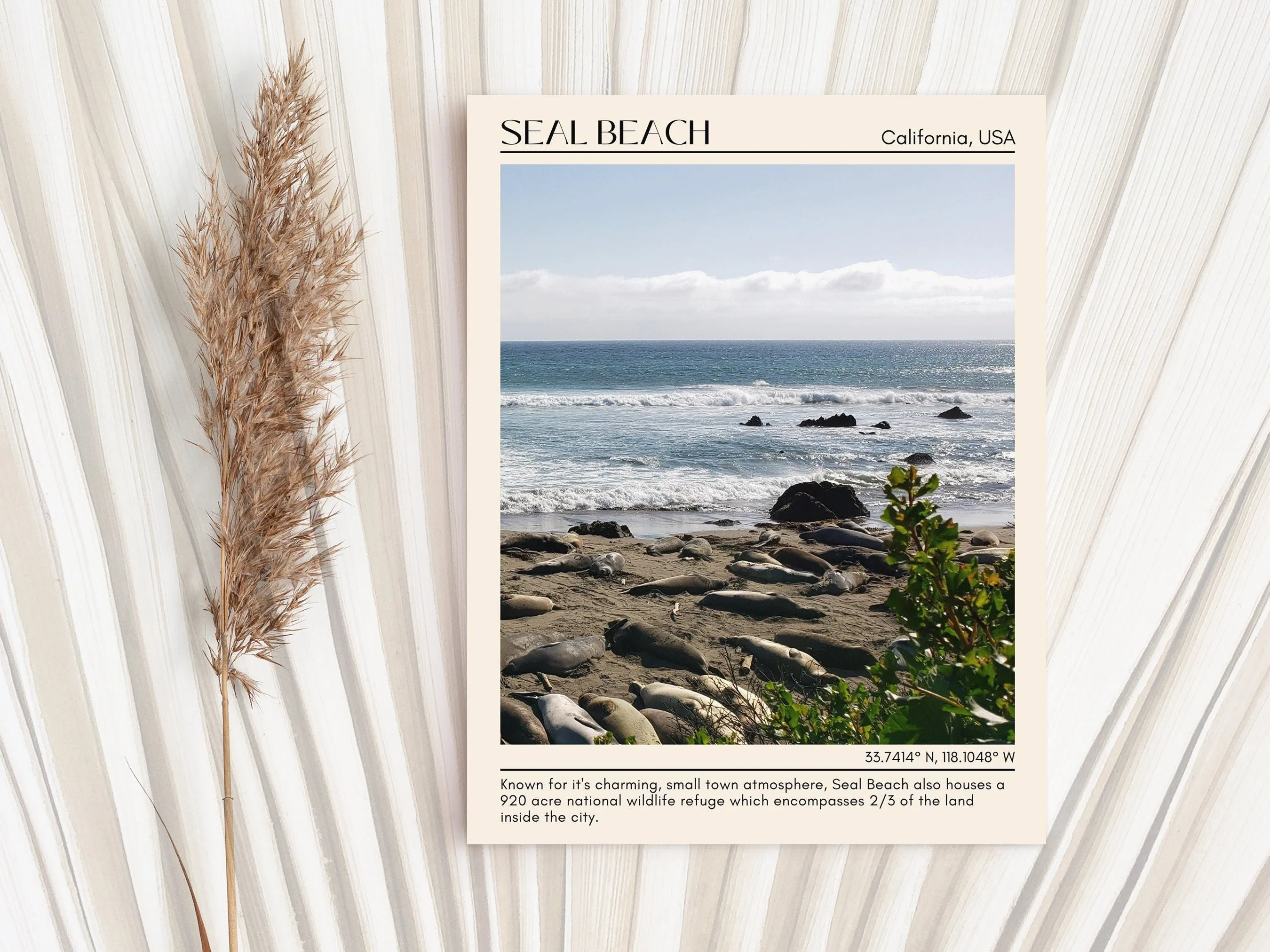 Seal Beach Wall Art Canvas, USA