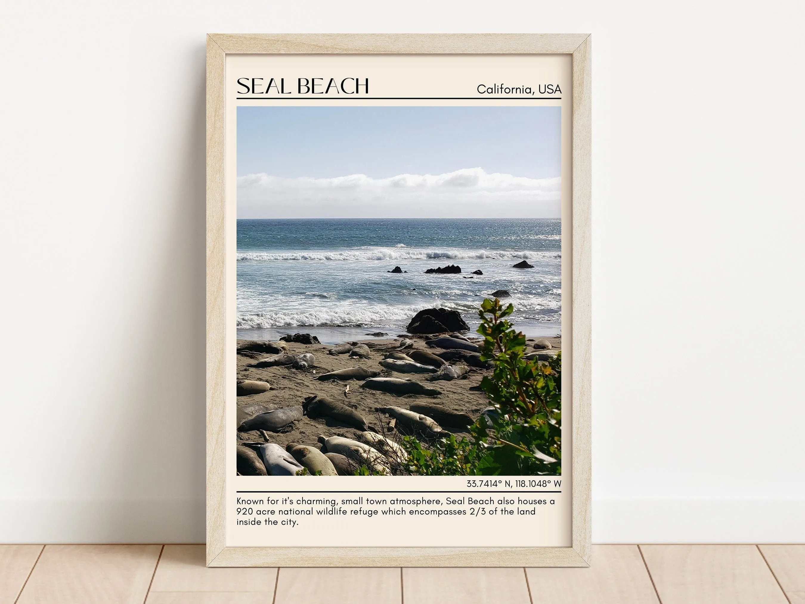 Seal Beach Wall Art Canvas, USA