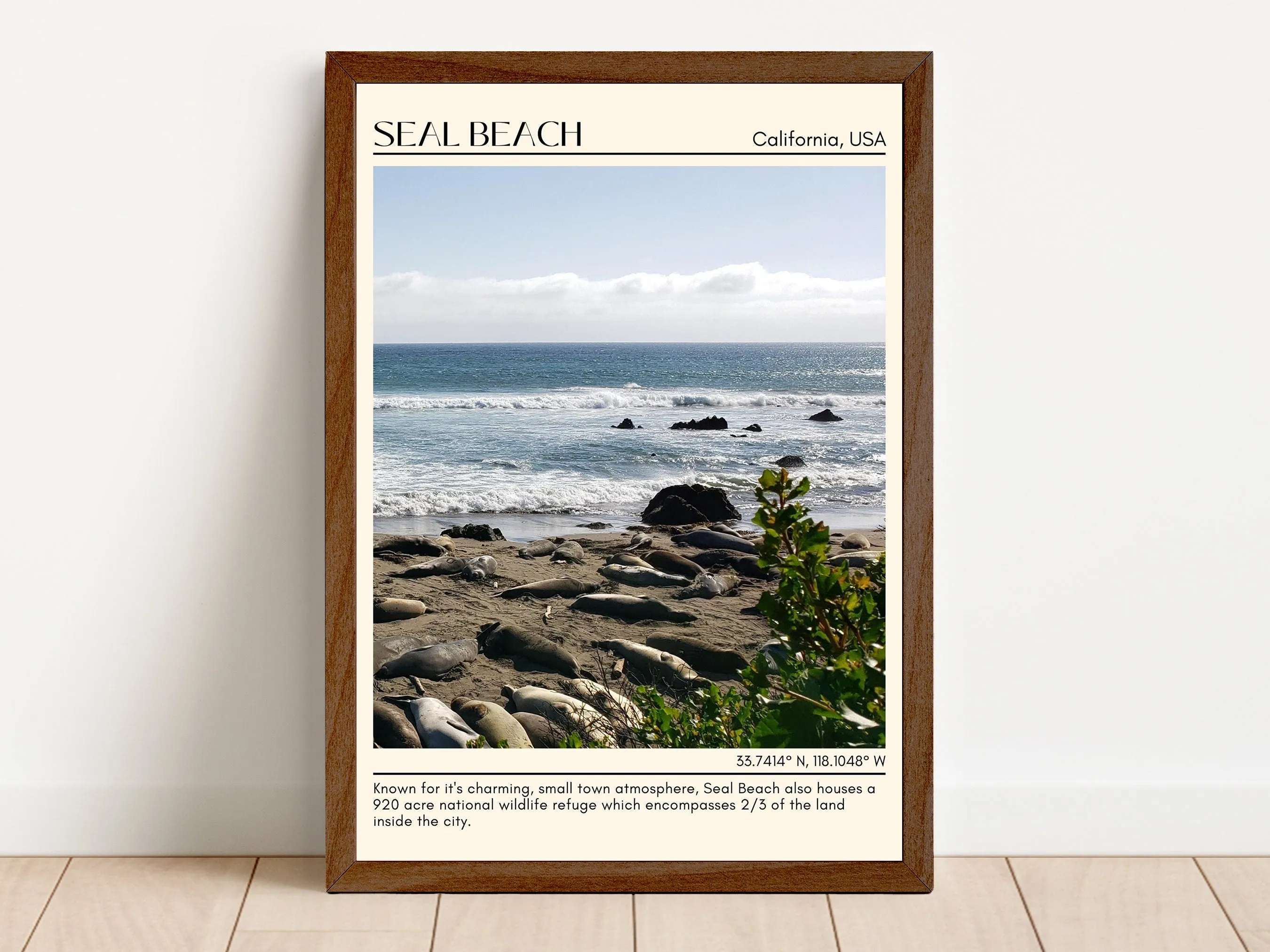 Seal Beach Wall Art Canvas, USA