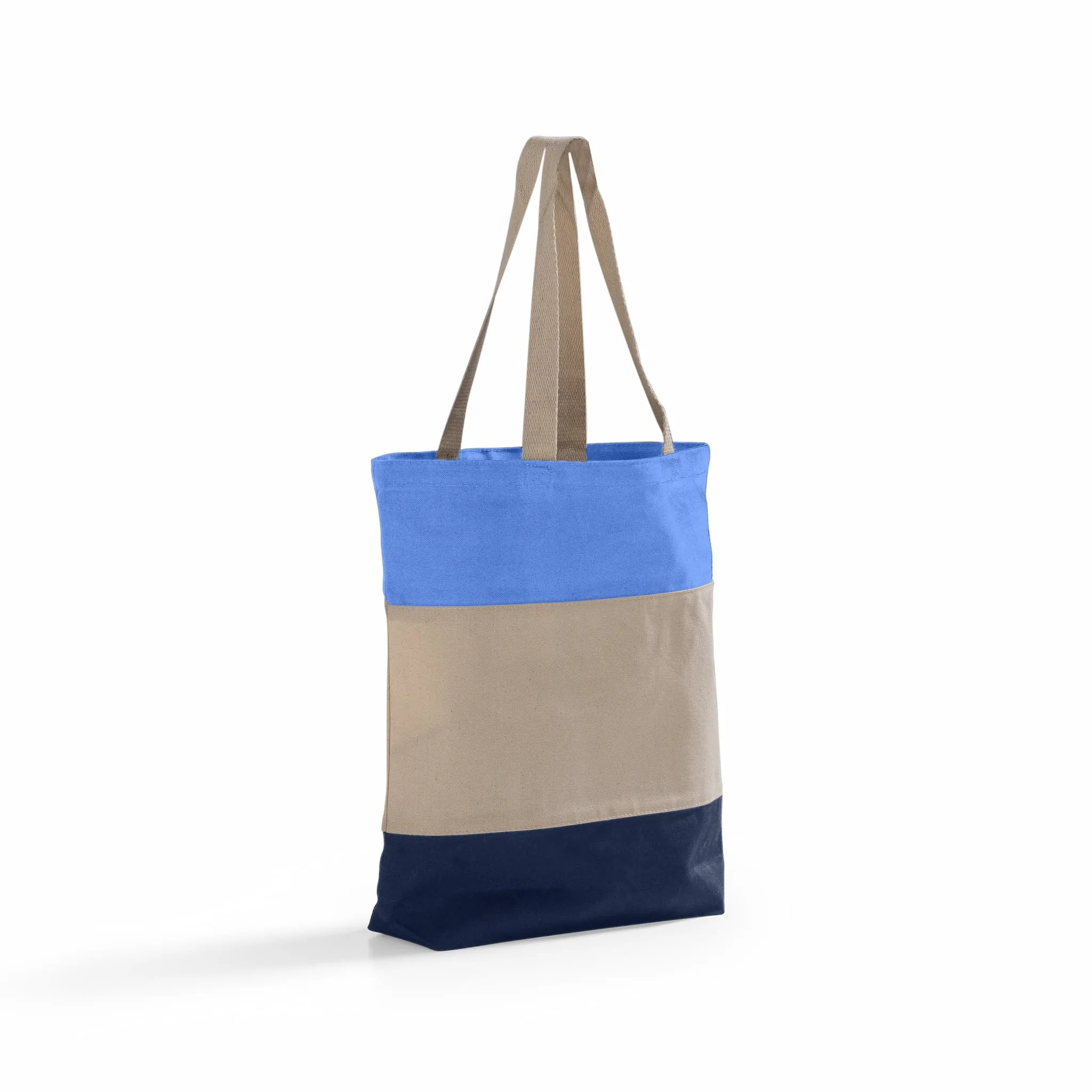 Tri-Color Canvas Tote