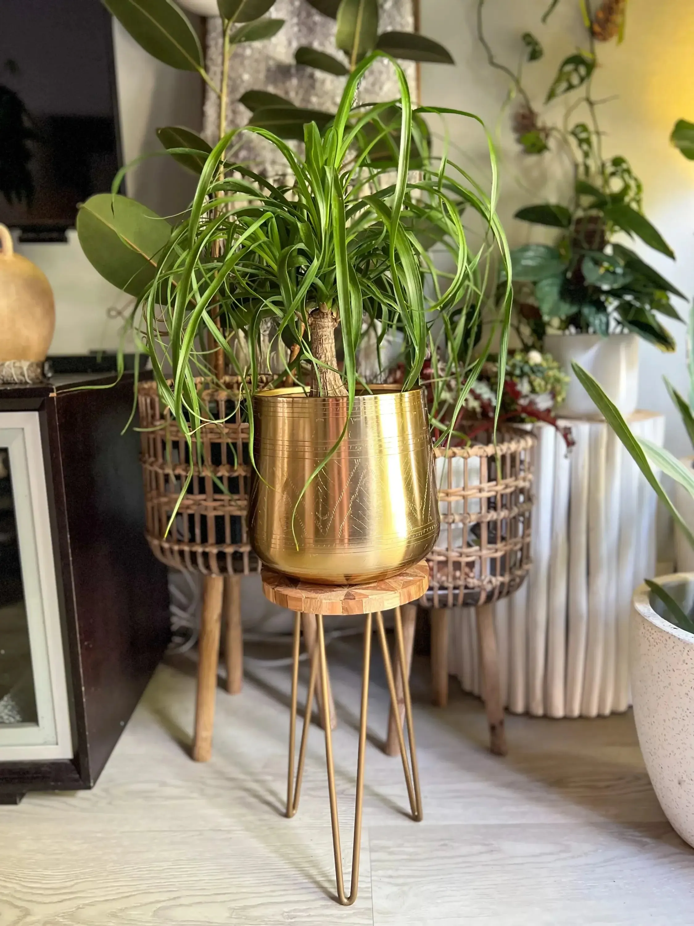 TULUM FLORAL POT PLANTER