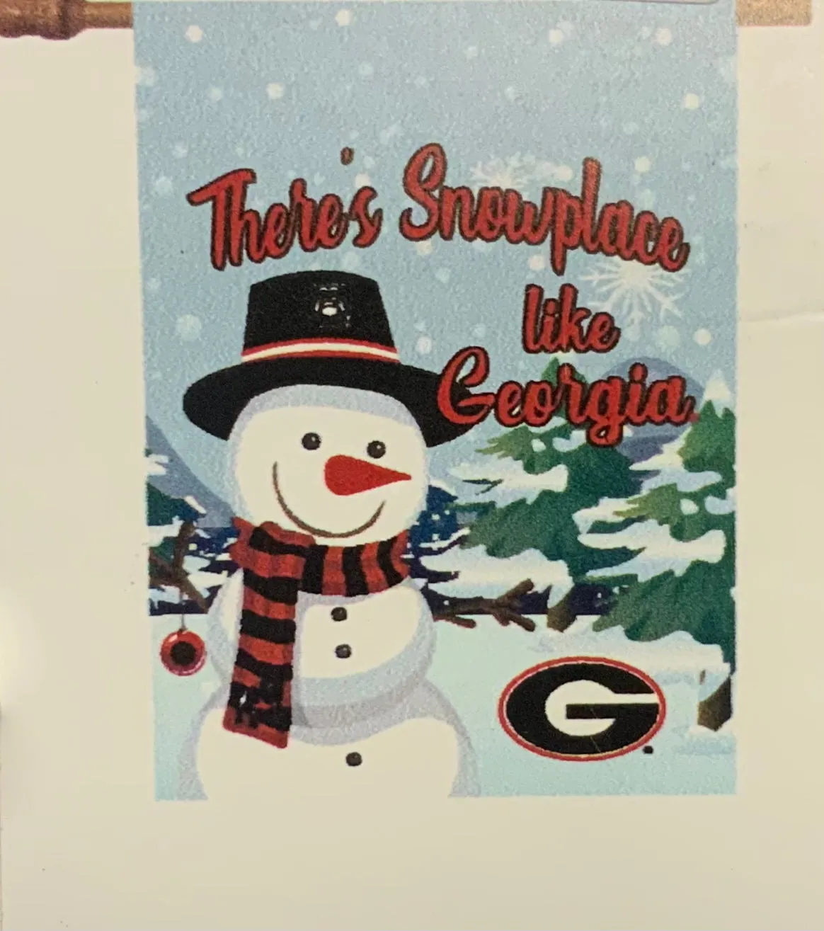 UGA House Flag 28 x 40