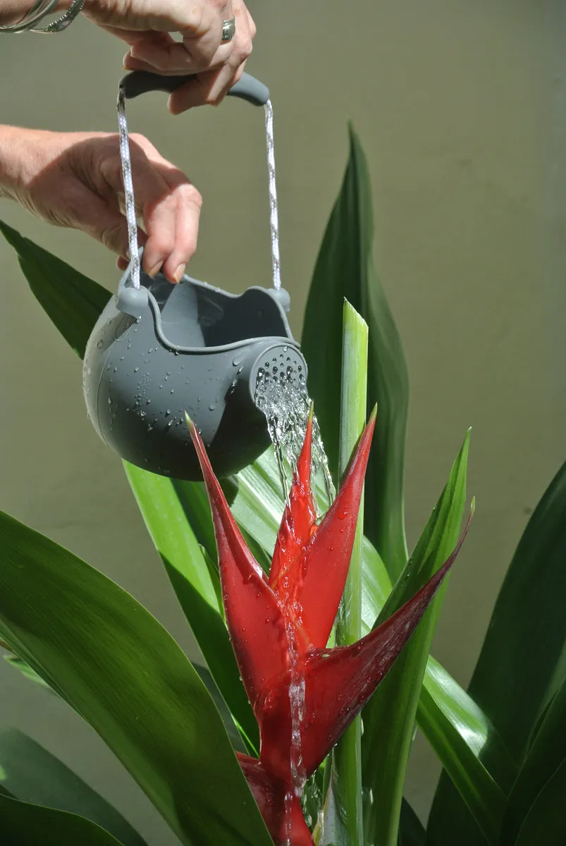 Watering Can - Cool Grey